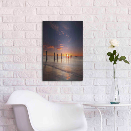 Luxe Metal Art 'Moana' by Everlook Photography, Metal Wall Art,16x24
