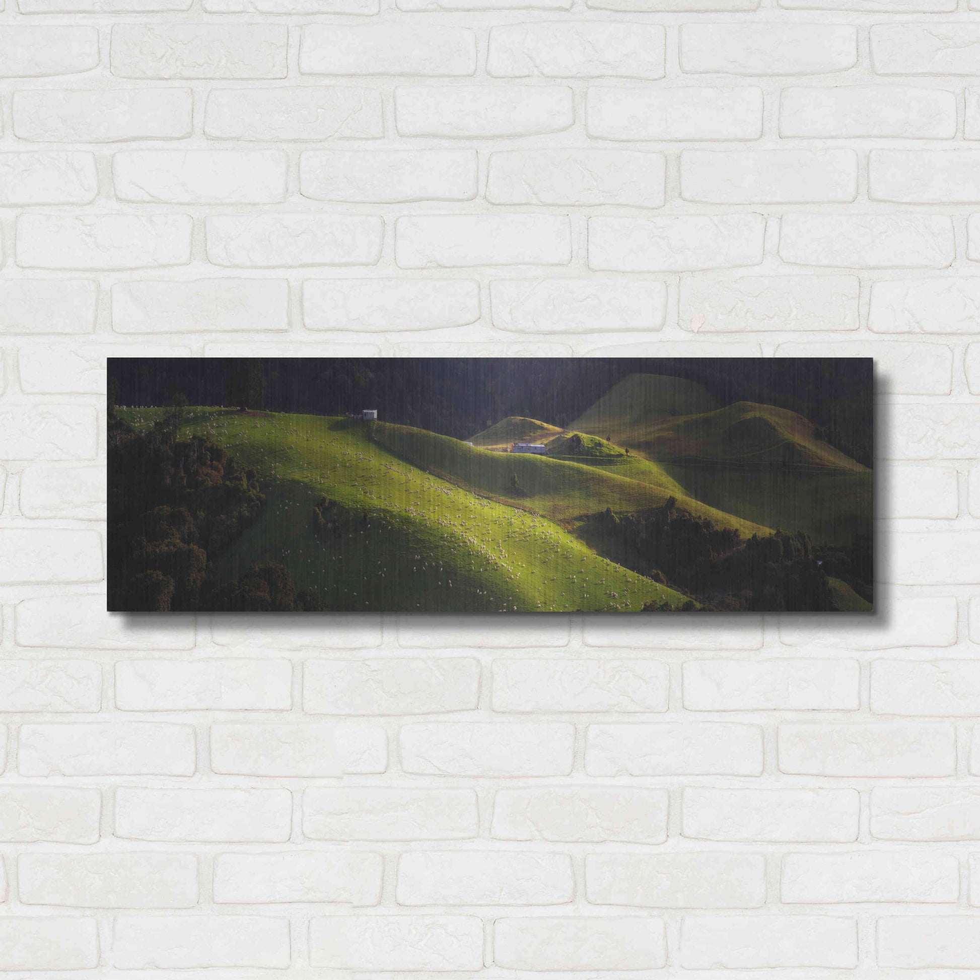 Luxe Metal Art 'Catlins' by Everlook Photography, Metal Wall Art,36x12