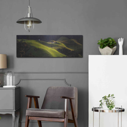 Luxe Metal Art 'Catlins' by Everlook Photography, Metal Wall Art,36x12