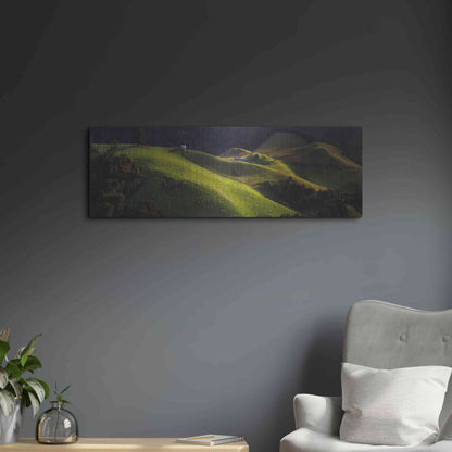 Luxe Metal Art 'Catlins' by Everlook Photography, Metal Wall Art,36x12