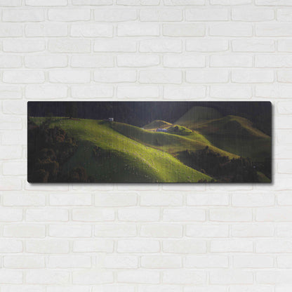 Luxe Metal Art 'Catlins' by Everlook Photography, Metal Wall Art,48x16