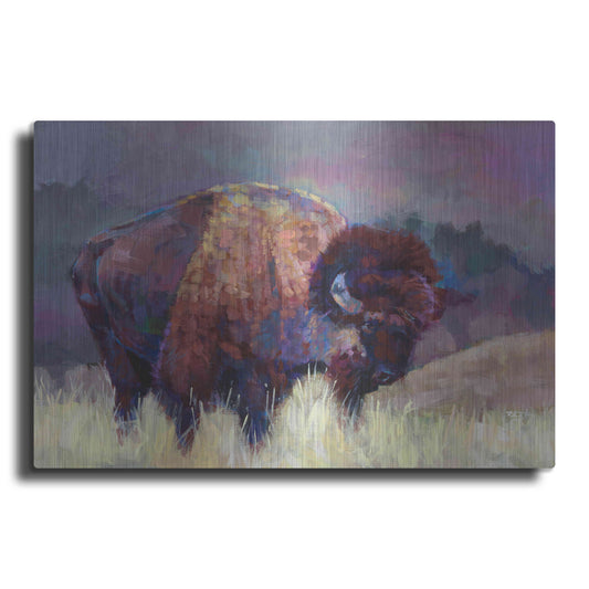 Luxe Metal Art 'Buffalo Roam' by Robert Jackson, Metal Wall Art