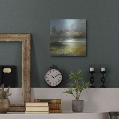 Luxe Metal Art 'A Quiet Place' by J Austin Jennings, Metal Wall Art,12x12