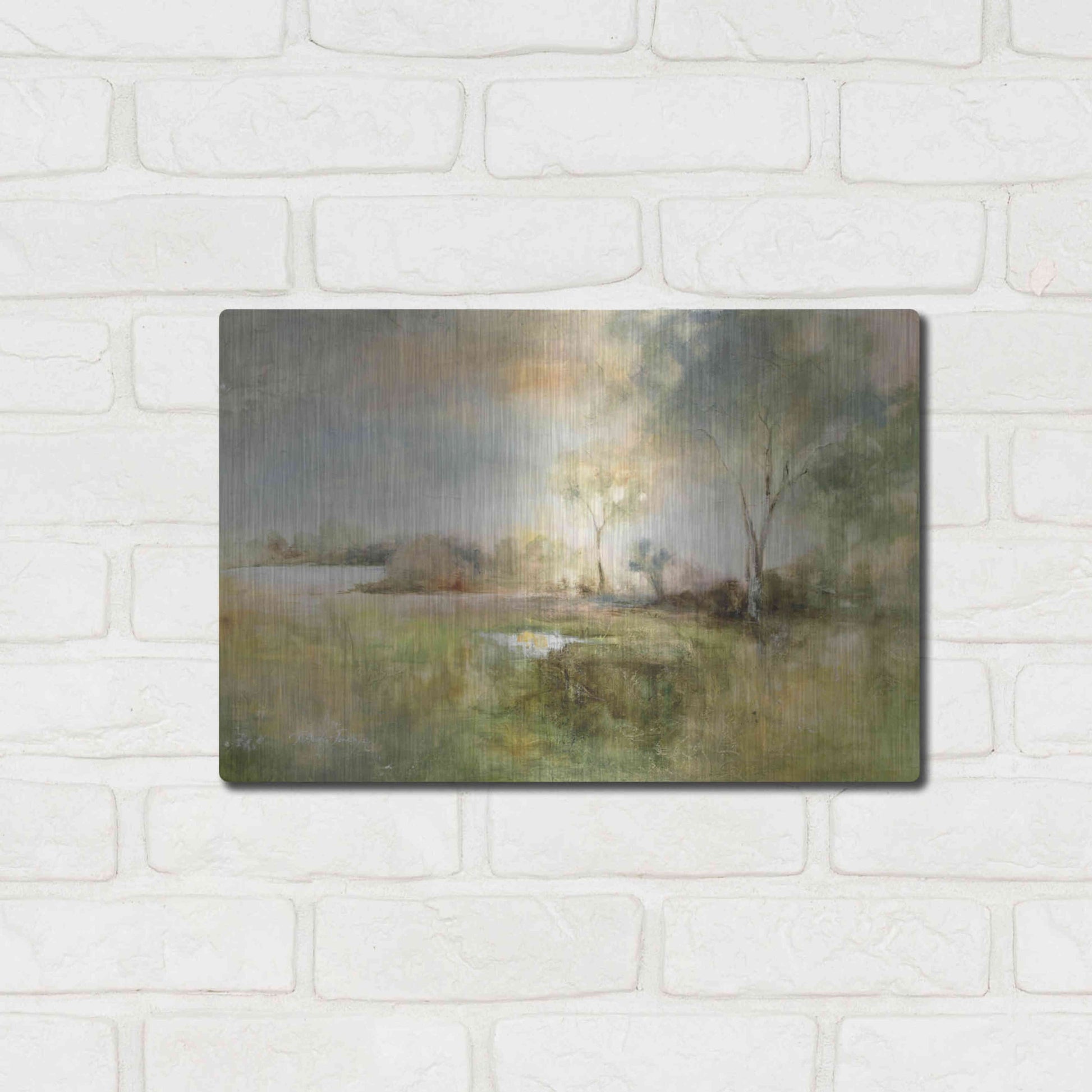 Luxe Metal Art 'Reflection of June' by J Austin Jennings, Metal Wall Art,16x12