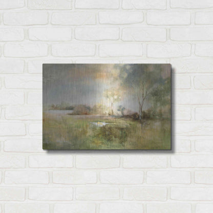 Luxe Metal Art 'Reflection of June' by J Austin Jennings, Metal Wall Art,24x16