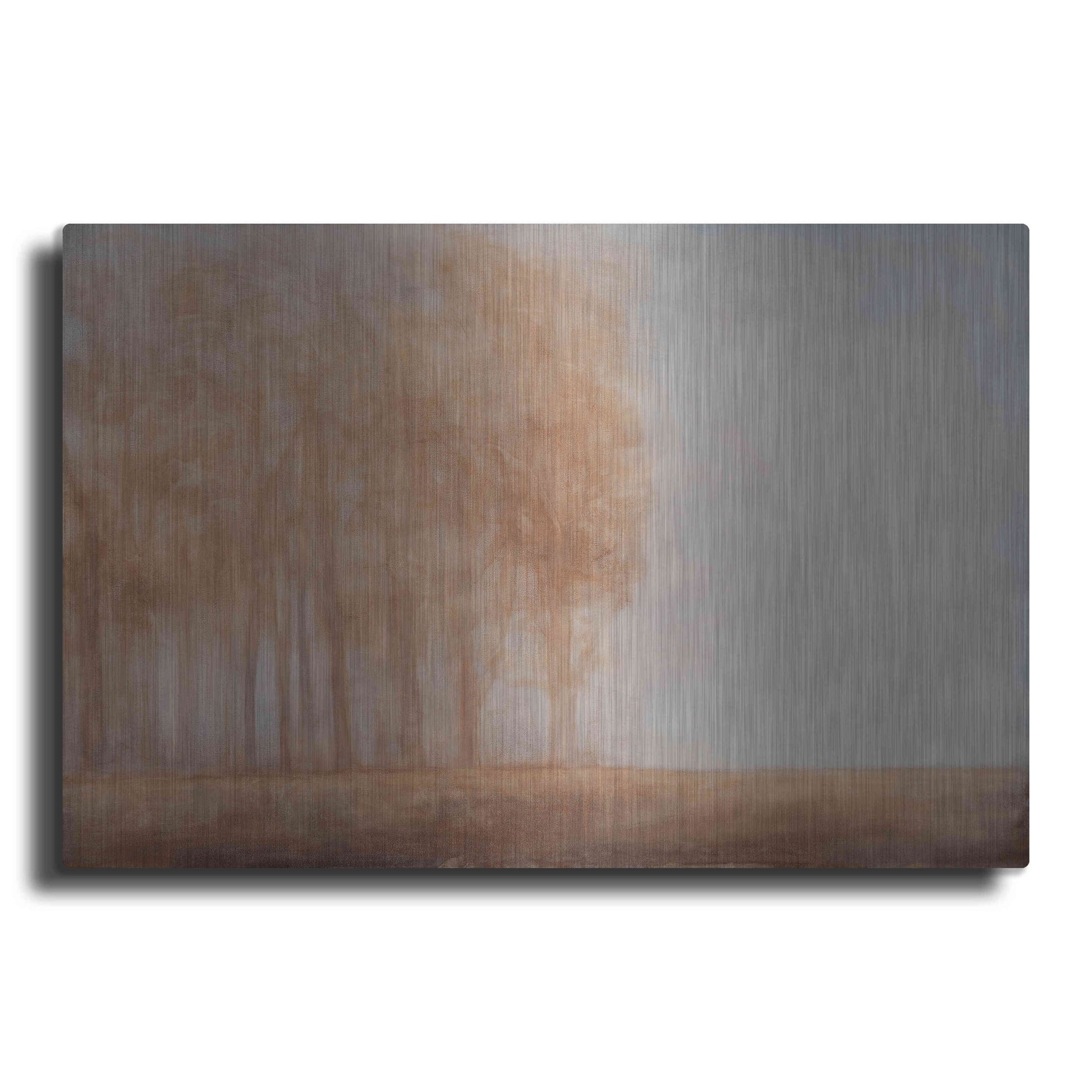 Luxe Metal Art 'Watching Place' by Dana Johns, Metal Wall Art