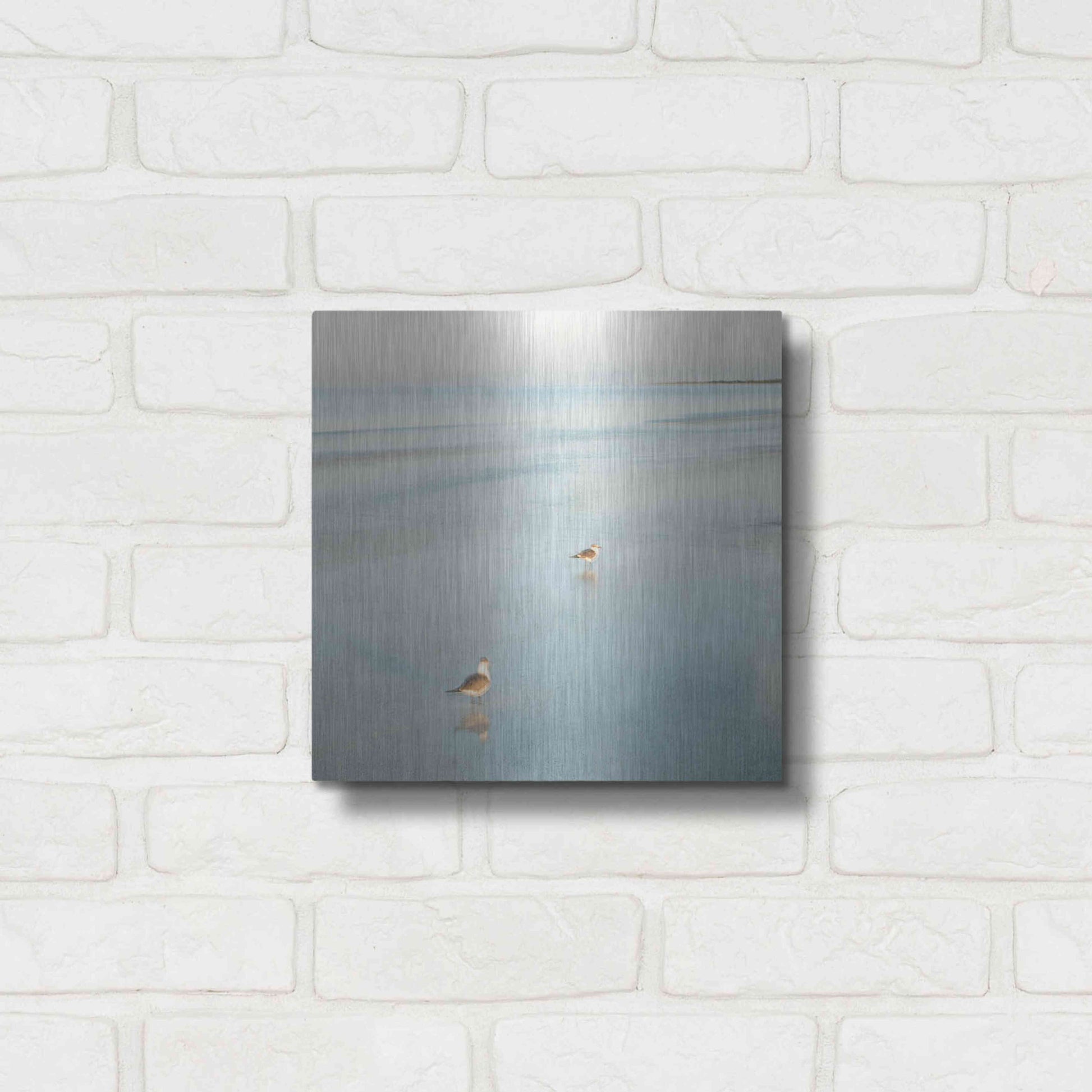 Luxe Metal Art 'Two Birds on Beach' by John Juracek, Metal Wall Art,12x12