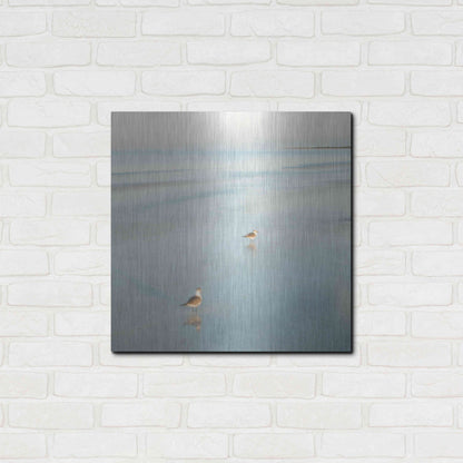 Luxe Metal Art 'Two Birds on Beach' by John Juracek, Metal Wall Art,24x24