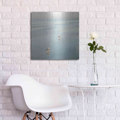 Luxe Metal Art 'Two Birds on Beach' by John Juracek, Metal Wall Art,24x24