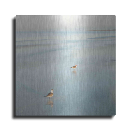 Luxe Metal Art 'Two Birds on Beach' by John Juracek, Metal Wall Art