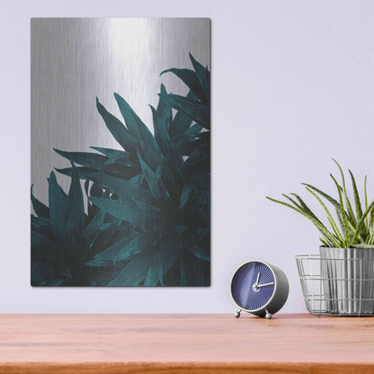 Luxe Metal Art 'End Up Here' by Hanna Kastl-Lundberg, Metal Wall Art,12x16