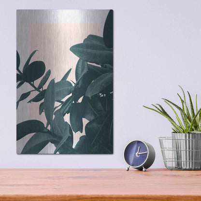 Luxe Metal Art 'Imagine' by Hanna Kastl-Lundberg, Metal Wall Art,12x16