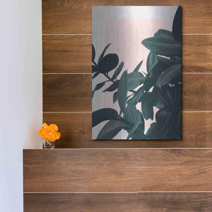 Luxe Metal Art 'Imagine' by Hanna Kastl-Lundberg, Metal Wall Art,12x16