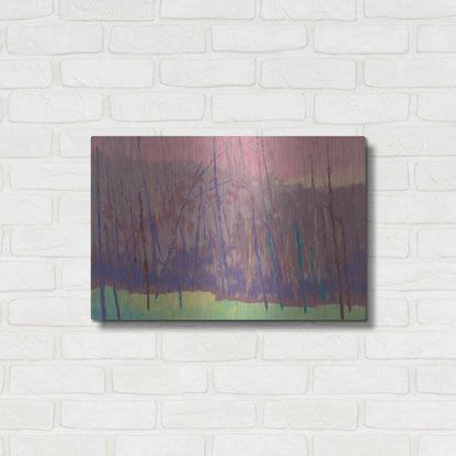 Luxe Metal Art 'Early Morning' by Mike Kelly, Metal Wall Art,24x16