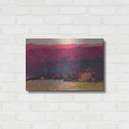 Luxe Metal Art 'Glow' by Mike Kelly, Metal Wall Art,24x16