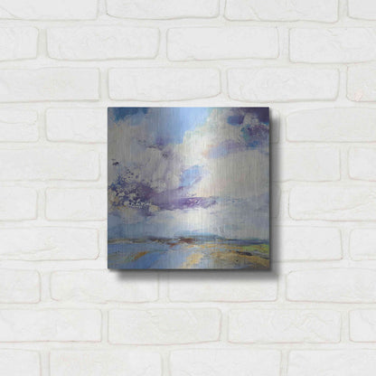 Luxe Metal Art 'Brisk' by Andrew Kinmont, Metal Wall Art,12x12