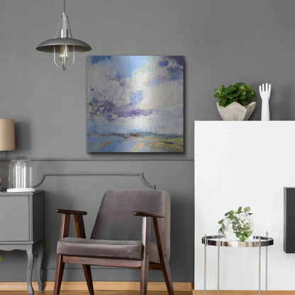 Luxe Metal Art 'Brisk' by Andrew Kinmont, Metal Wall Art,24x24