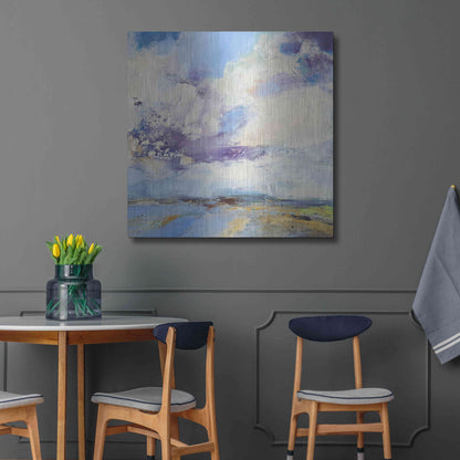 Luxe Metal Art 'Brisk' by Andrew Kinmont, Metal Wall Art,36x36