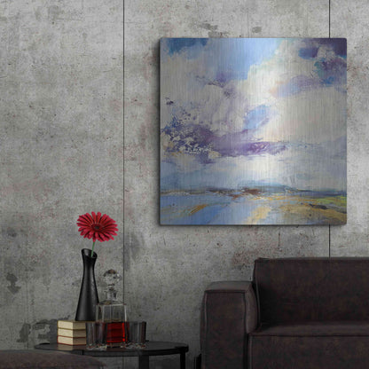 Luxe Metal Art 'Brisk' by Andrew Kinmont, Metal Wall Art,36x36