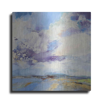 Luxe Metal Art 'Brisk' by Andrew Kinmont, Metal Wall Art