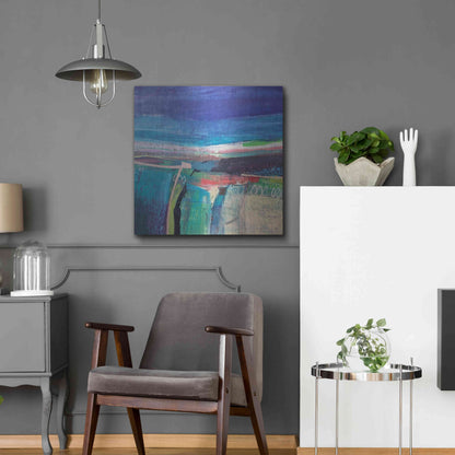 Luxe Metal Art 'Flying Low No. 3' by Andrew Kinmont, Metal Wall Art,24x24