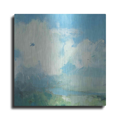 Luxe Metal Art 'Pale Light' by Andrew Kinmont, Metal Wall Art