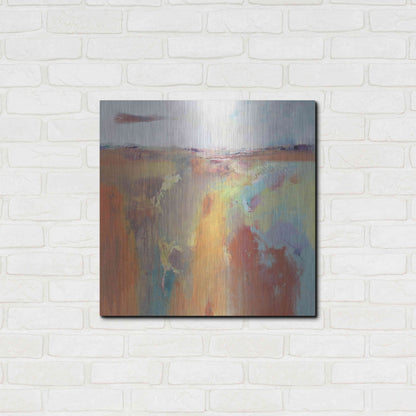 Luxe Metal Art 'Tangerine Summer' by Andrew Kinmont, Metal Wall Art,24x24