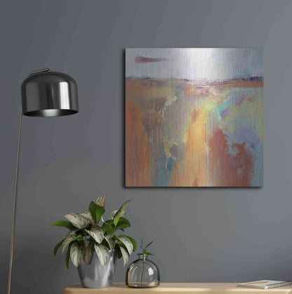 Luxe Metal Art 'Tangerine Summer' by Andrew Kinmont, Metal Wall Art,24x24