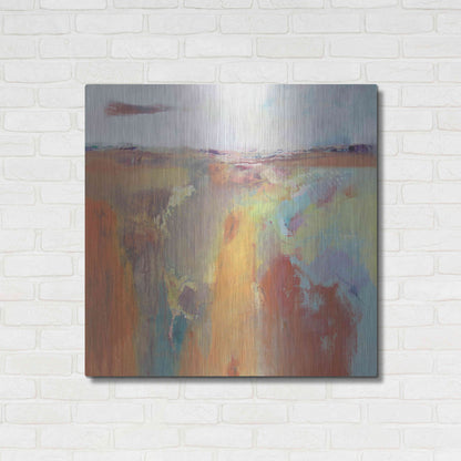 Luxe Metal Art 'Tangerine Summer' by Andrew Kinmont, Metal Wall Art,36x36