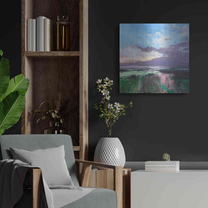 Luxe Metal Art 'The Beauty Of The Morning' by Andrew Kinmont, Metal Wall Art,24x24