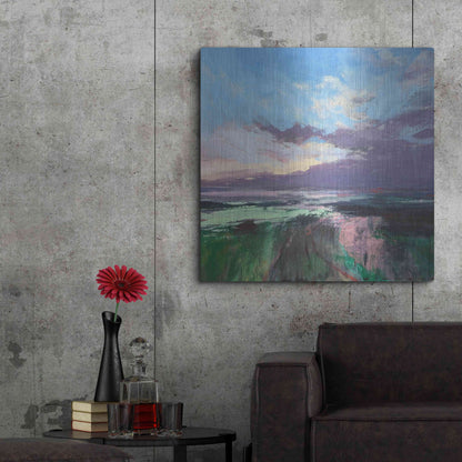 Luxe Metal Art 'The Beauty Of The Morning' by Andrew Kinmont, Metal Wall Art,36x36