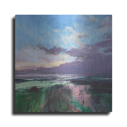 Luxe Metal Art 'The Beauty Of The Morning' by Andrew Kinmont, Metal Wall Art