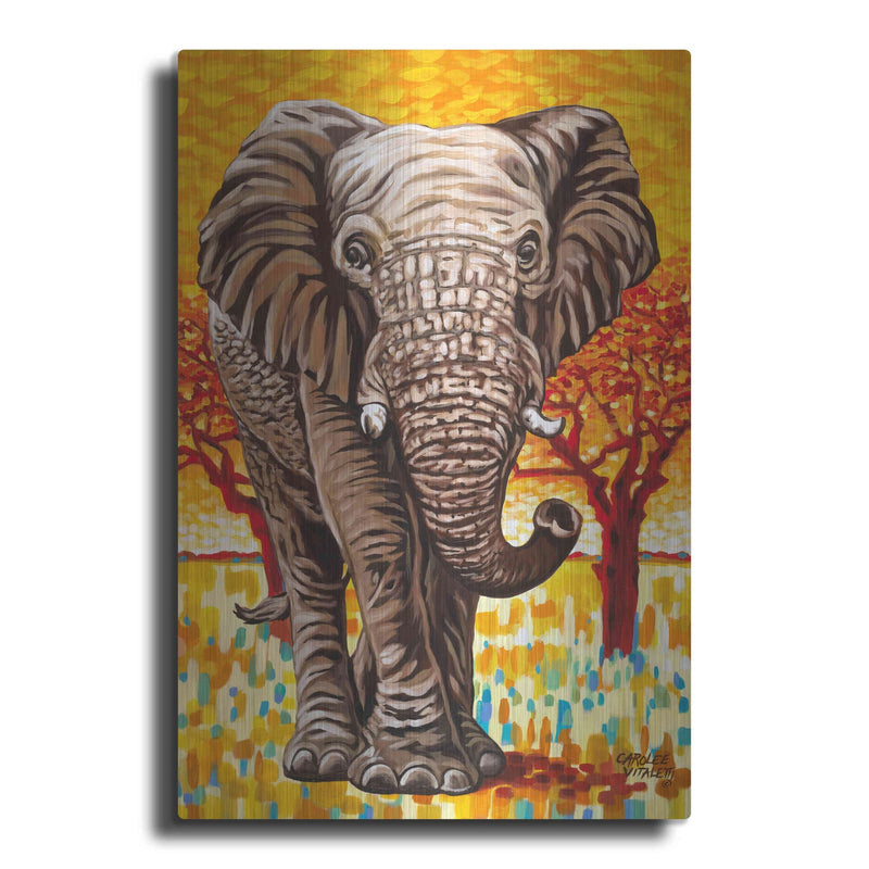 'Wild Africa I' by Carolee Vitaletti – Metal Wall Art