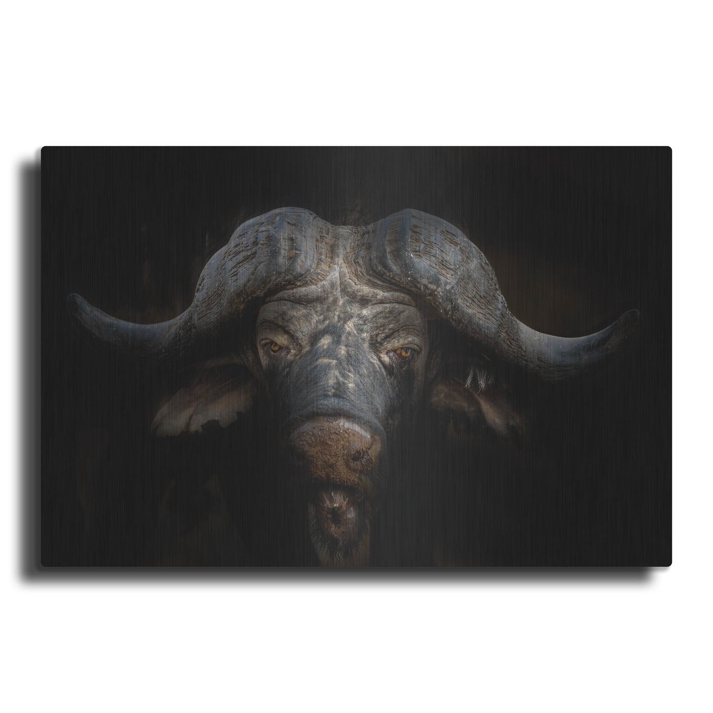 Luxe Metal Art 'Knowledge' by Luxe Portfolio, Metal Wall Art