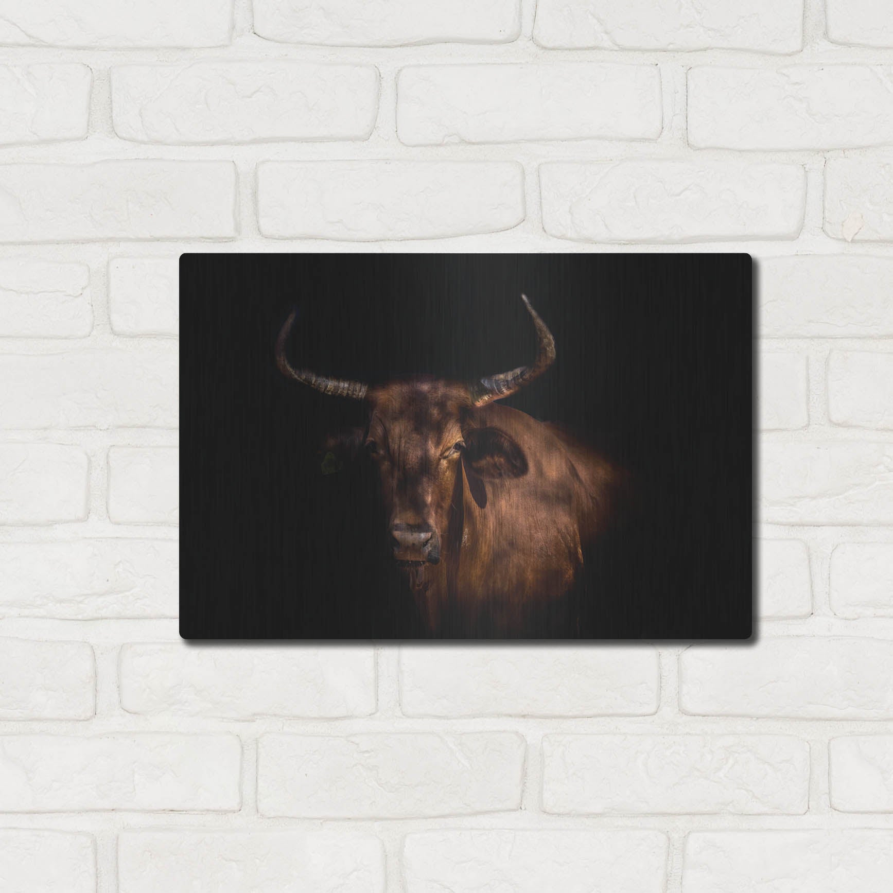 Luxe Metal Art 'Thoughtful Cow' by Luxe Portfolio, Metal Wall Art,16x12