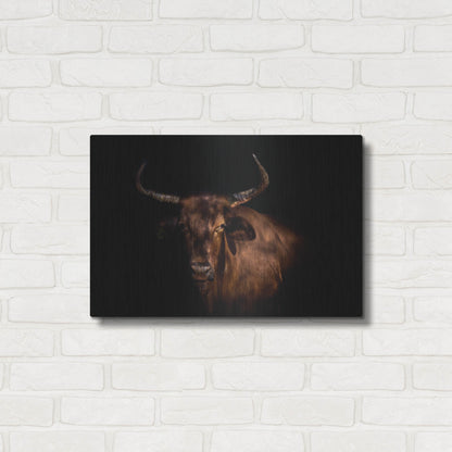 Luxe Metal Art 'Thoughtful Cow' by Luxe Portfolio, Metal Wall Art,24x16