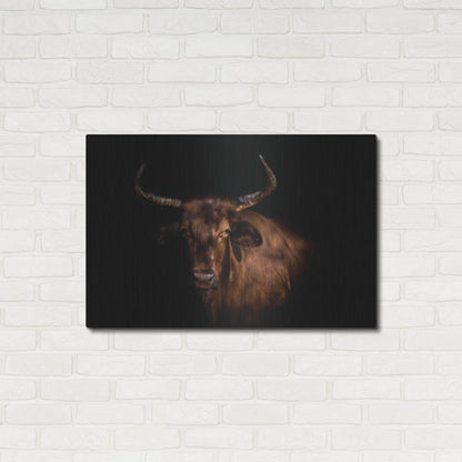 Luxe Metal Art 'Thoughtful Cow' by Luxe Portfolio, Metal Wall Art,36x24
