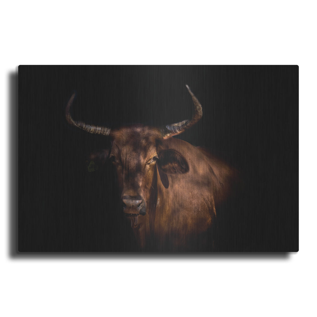 Luxe Metal Art 'Thoughtful Cow' by Luxe Portfolio, Metal Wall Art