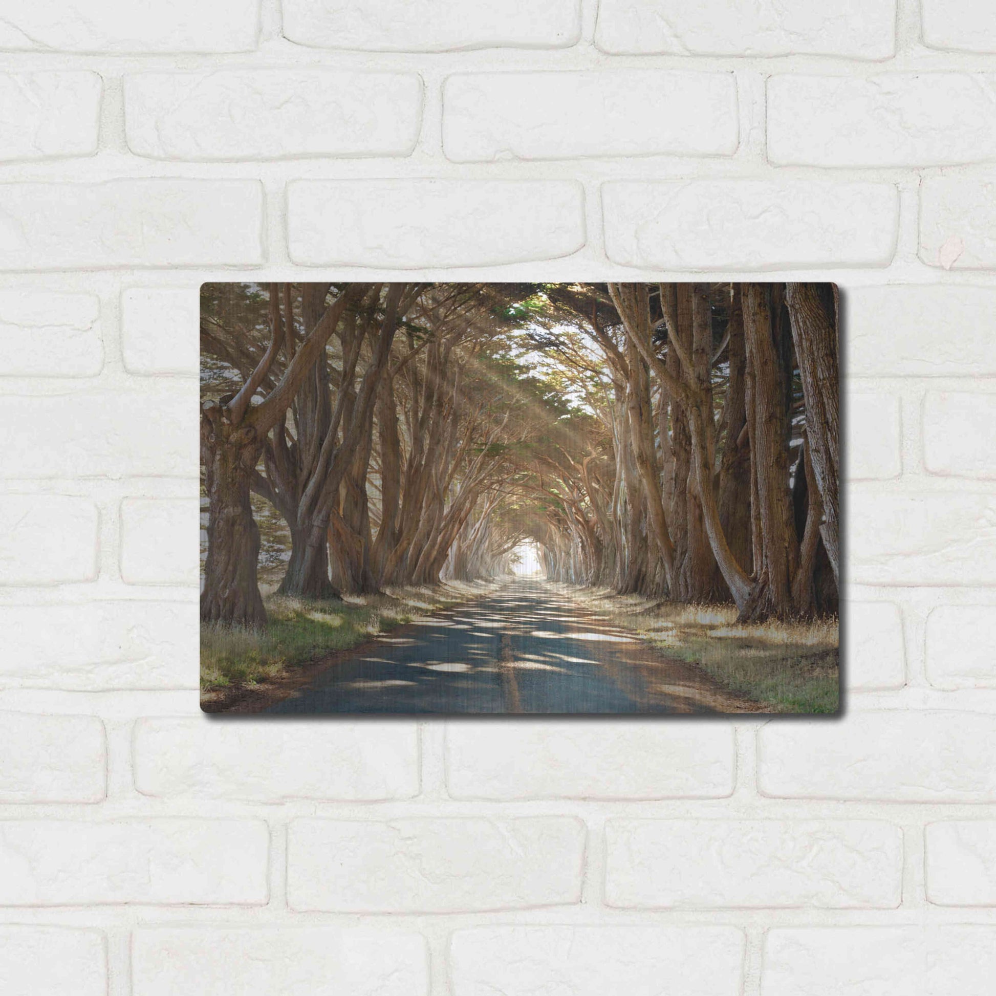 Luxe Metal Art 'Cypresses' by Alan Klug, Metal Wall Art,16x12