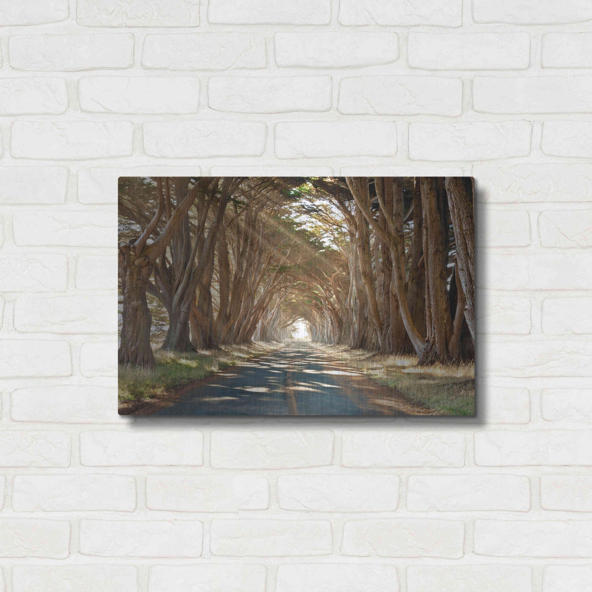 Luxe Metal Art 'Cypresses' by Alan Klug, Metal Wall Art,24x16