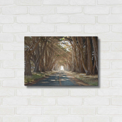 Luxe Metal Art 'Cypresses' by Alan Klug, Metal Wall Art,24x16