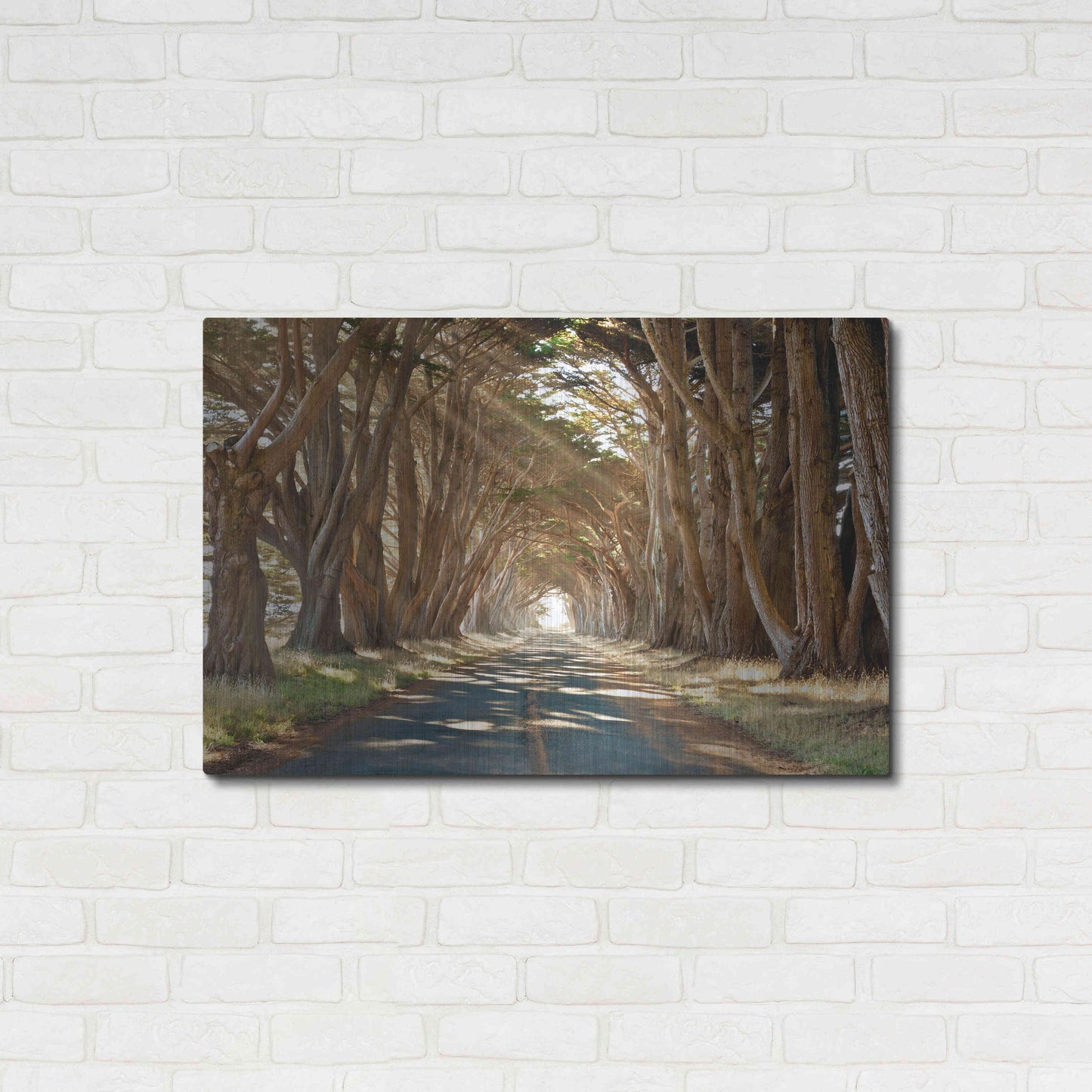 Luxe Metal Art 'Cypresses' by Alan Klug, Metal Wall Art,36x24