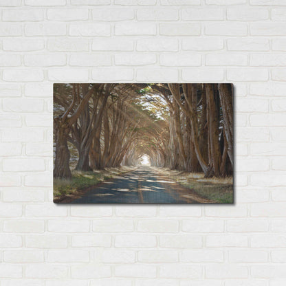 Luxe Metal Art 'Cypresses' by Alan Klug, Metal Wall Art,36x24