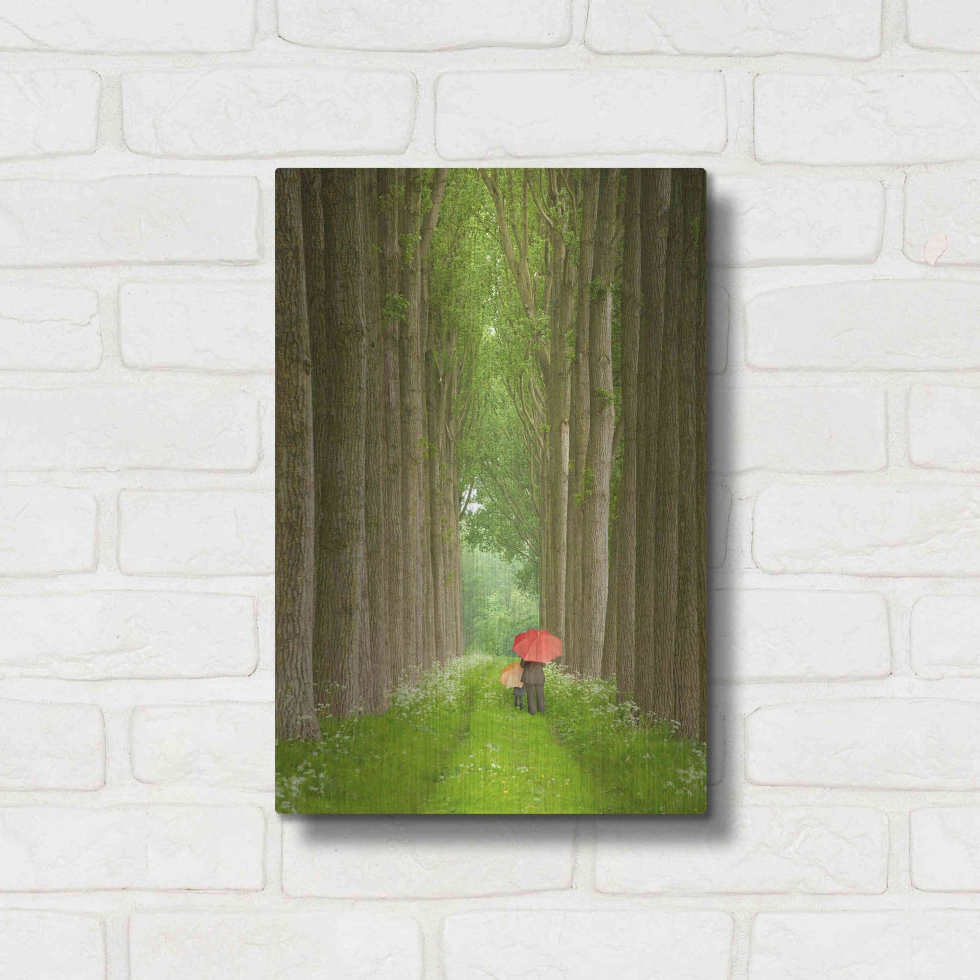 Luxe Metal Art 'Two Umbrellas Belgium' by Alan Klug, Metal Wall Art,12x16