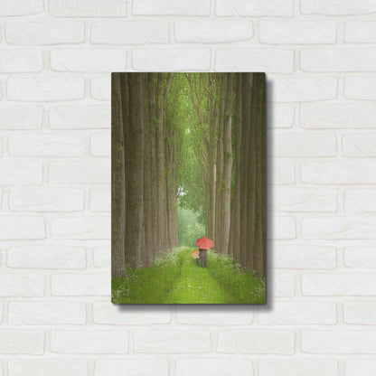 Luxe Metal Art 'Two Umbrellas Belgium' by Alan Klug, Metal Wall Art,16x24