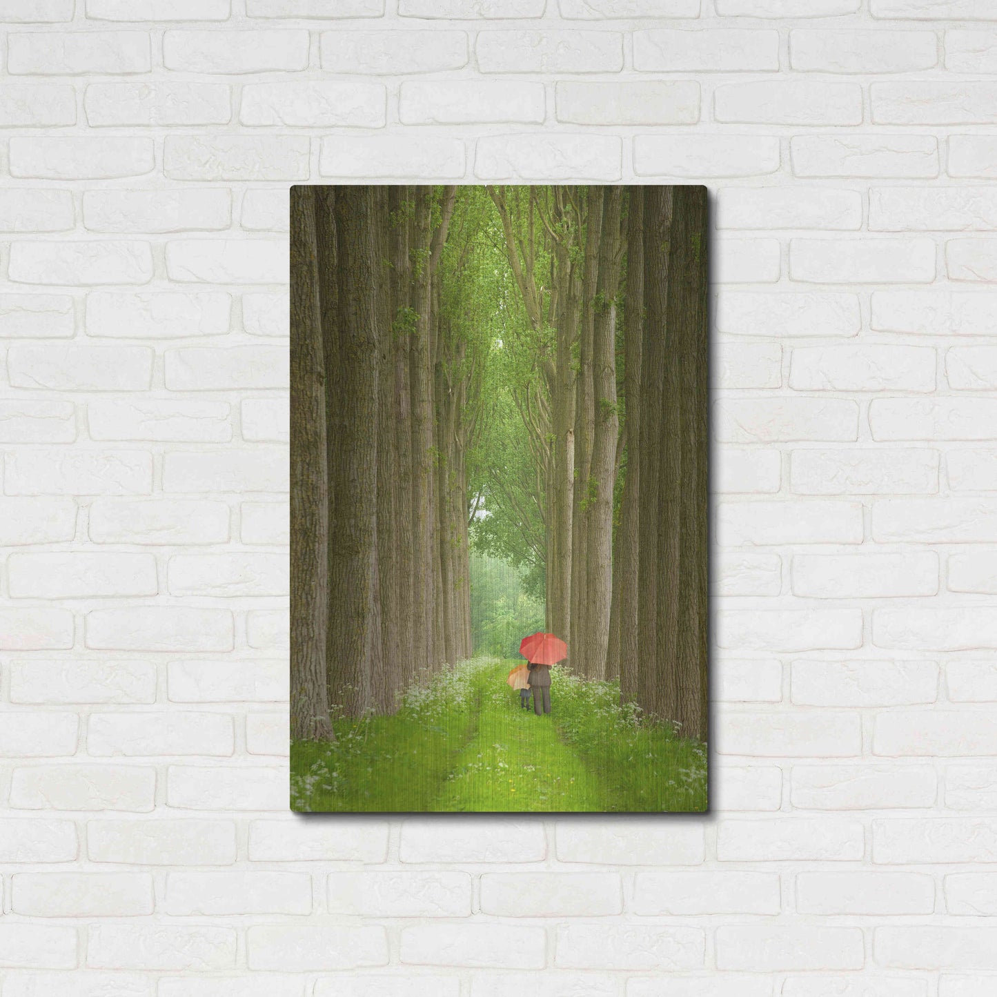 Luxe Metal Art 'Two Umbrellas Belgium' by Alan Klug, Metal Wall Art,24x36