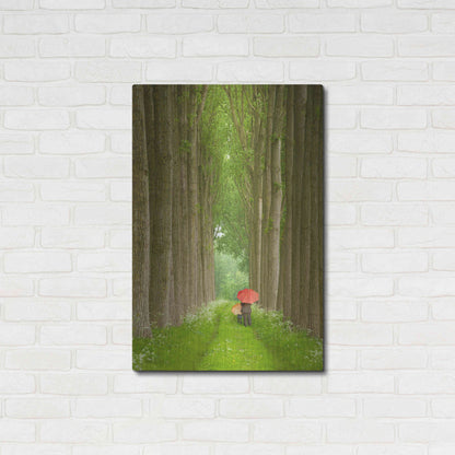 Luxe Metal Art 'Two Umbrellas Belgium' by Alan Klug, Metal Wall Art,24x36