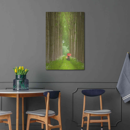 Luxe Metal Art 'Two Umbrellas Belgium' by Alan Klug, Metal Wall Art,24x36