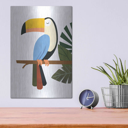 Luxe Metal Art 'Tucker The Toucan' by Emily Kopcik, Metal Wall Art,12x16