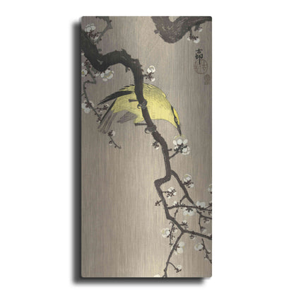 Luxe Metal Art 'Chinese Wielewaal on Plum Blossom Branch 1900-1910' by Ohara Koson, Metal Wall Art